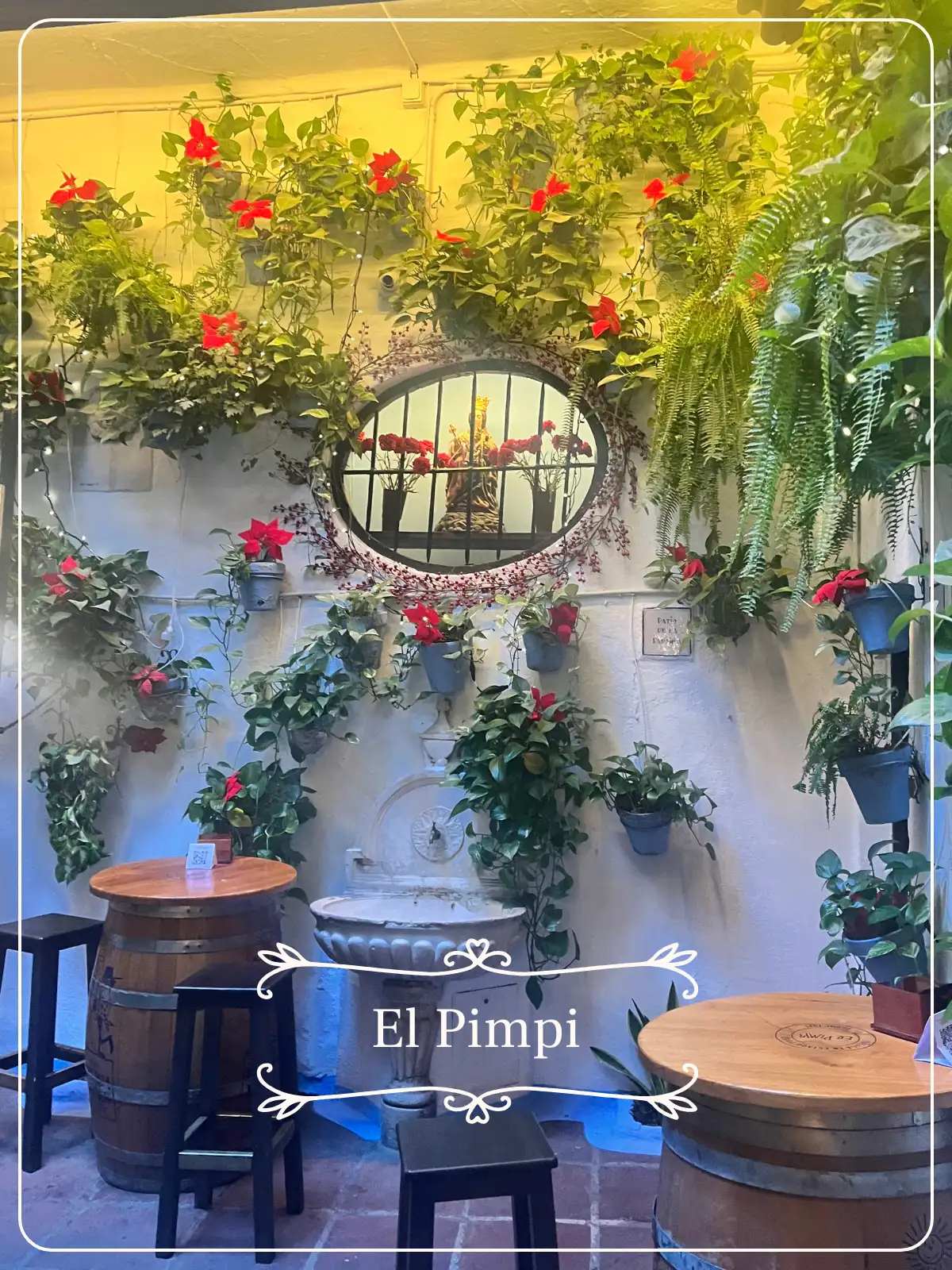 El Pimpi bar in Malaga at night