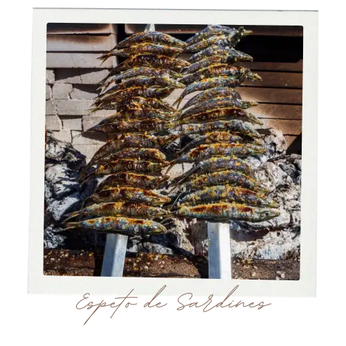 Estepona resturants 1