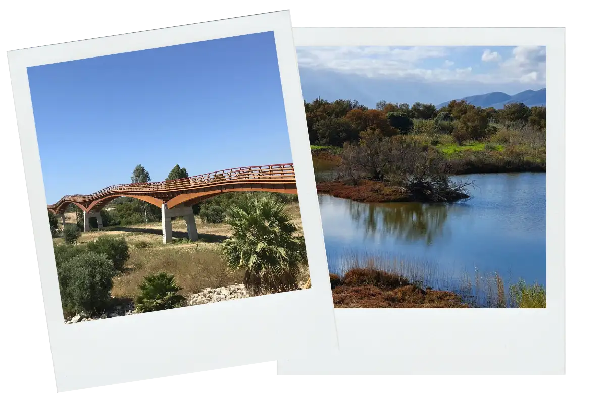 Things to do in malaga free 3