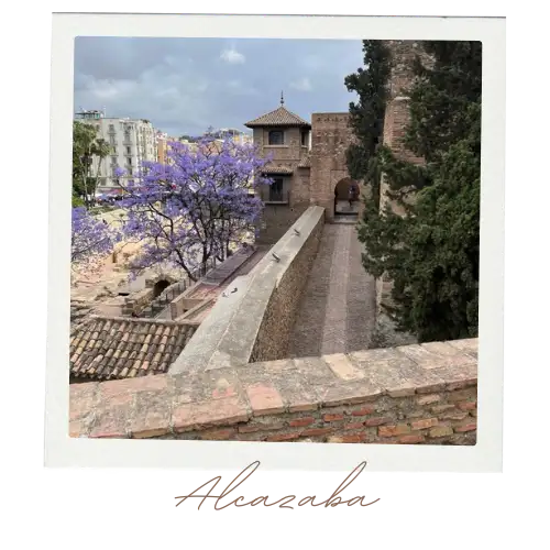 alcazaba 11