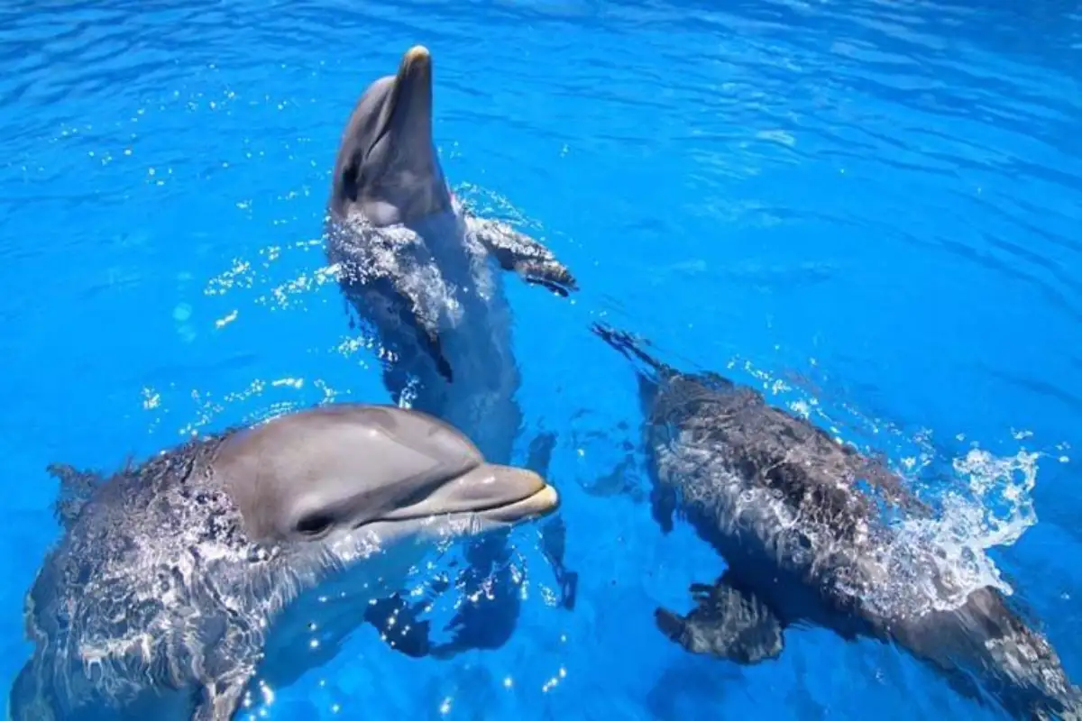 best things kids malaga 17