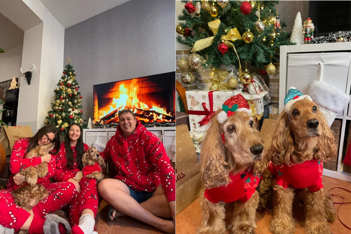 A family in red Christmas clothing in front of a tv with a digital fireplace and their two dogs.