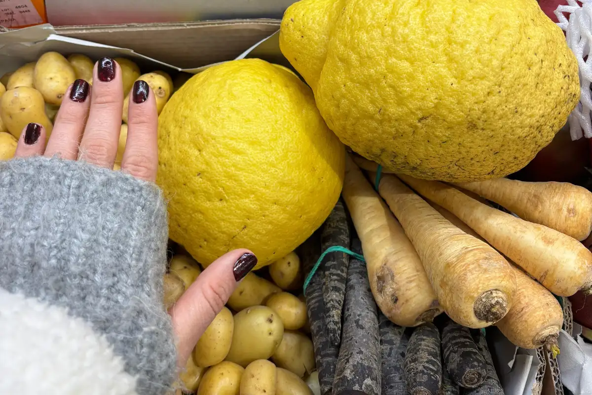 malaga what not to do 8