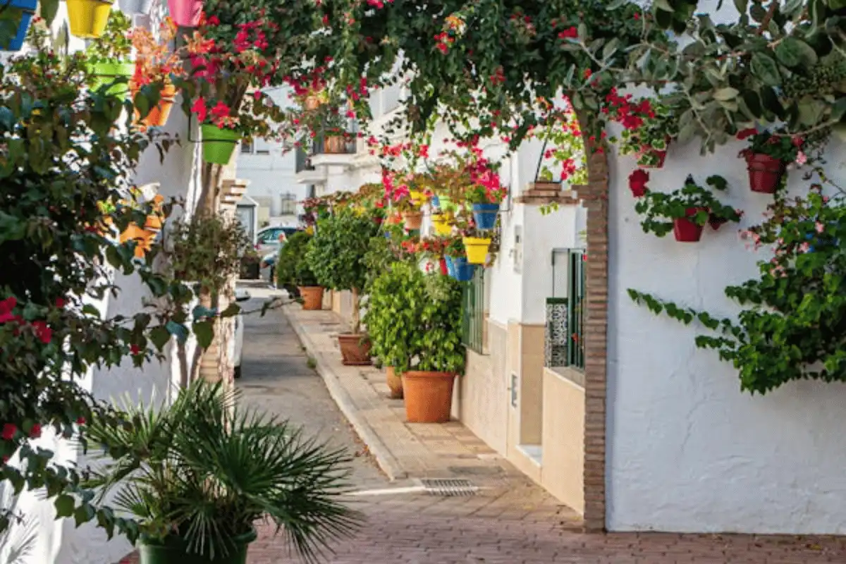 marbella 20 things to do spain3