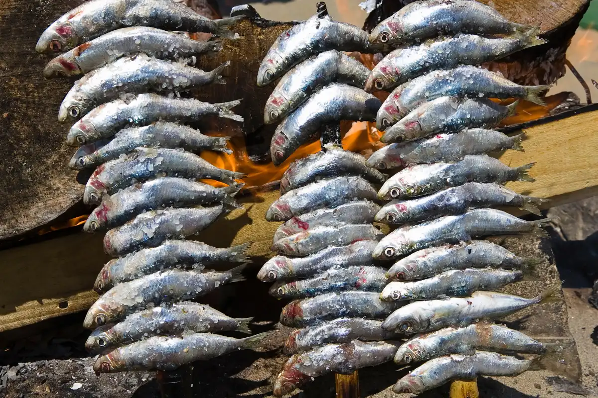 Espetos de sardinas, sardines grilled on bamboo skewers over wood fire